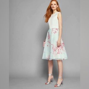 Ted Baker Soft Idola Blossom Contrast Dress